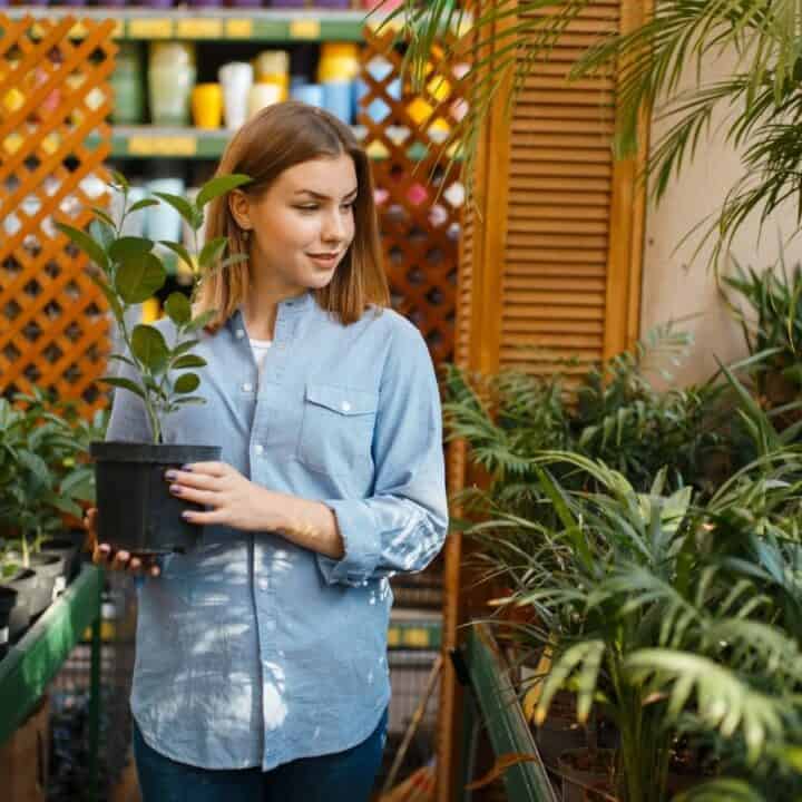 A woman in a blue shirt holds a potted plant while standing among various plants in a garden store.