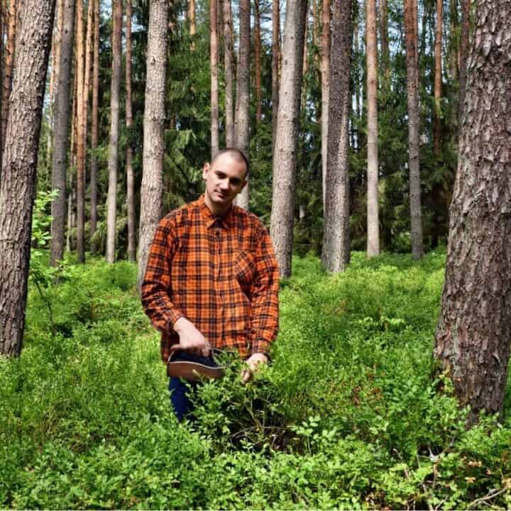 A person in a plaid shirt stands in a dense forest holding an axe, surrounded by tall trees and green undergrowth.