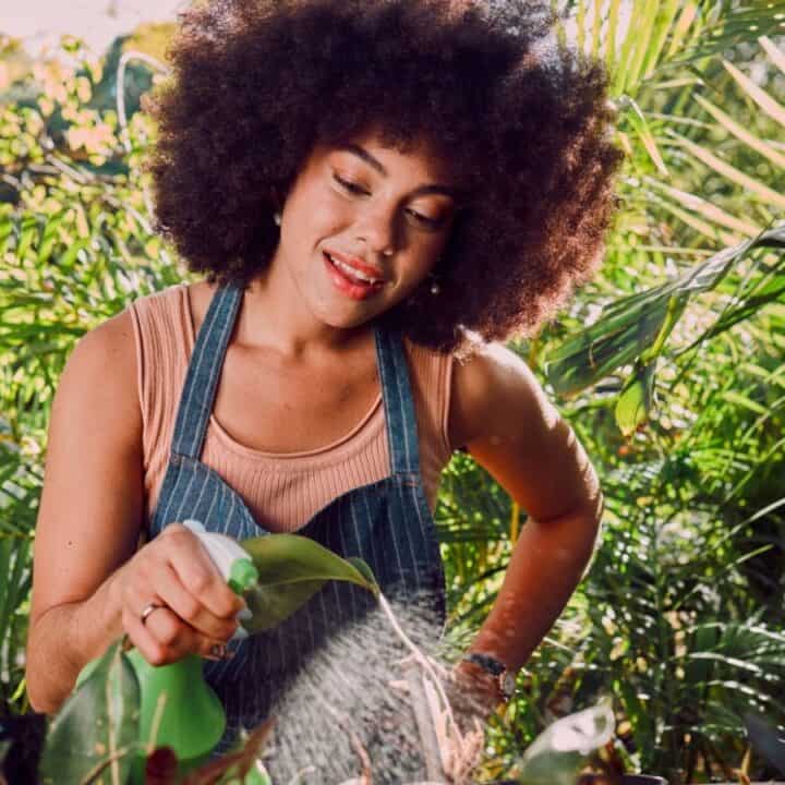 A woman wearing an apron waters plants in a lush, green garden, surrounded by tropical foliage.