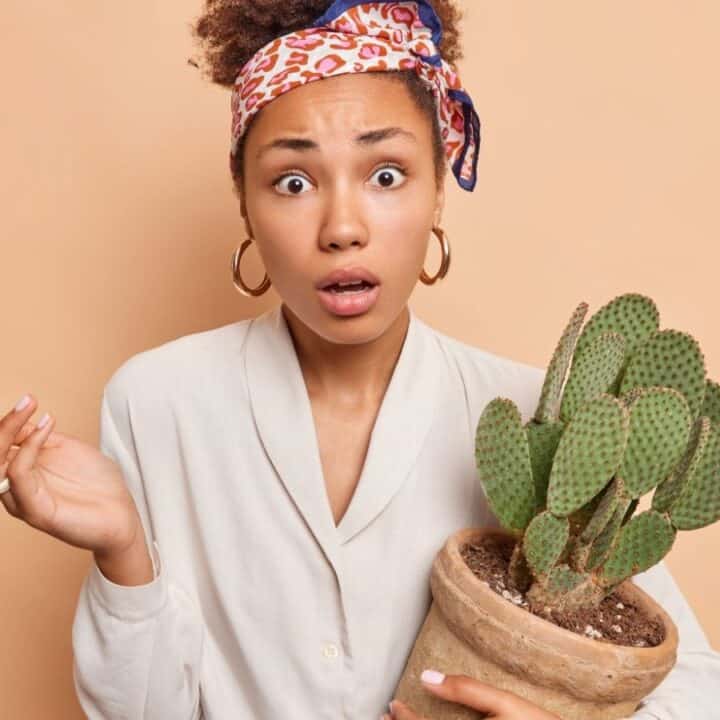Woman holding a potted cactus looks surprised, standing against a plain peach background. She wears a light shirt, hoop earrings, and a patterned headband.