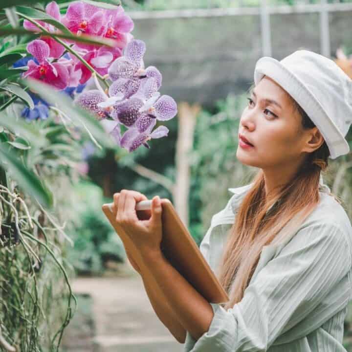 A woman in a white hat holds a tablet and observes purple orchids in a greenhouse or garden setting.