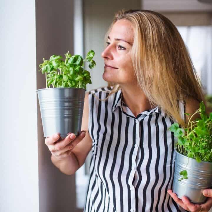 A woman holding two potted herb plants looks out a window in a bright kitchen.