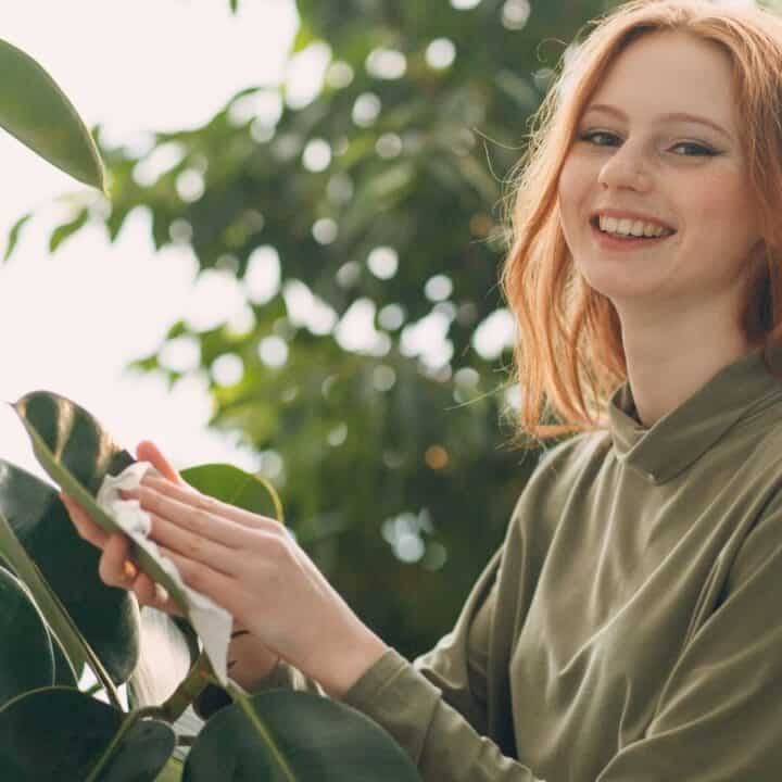 A person with long red hair smiles while cleaning the leaves of an indoor plant with a cloth.