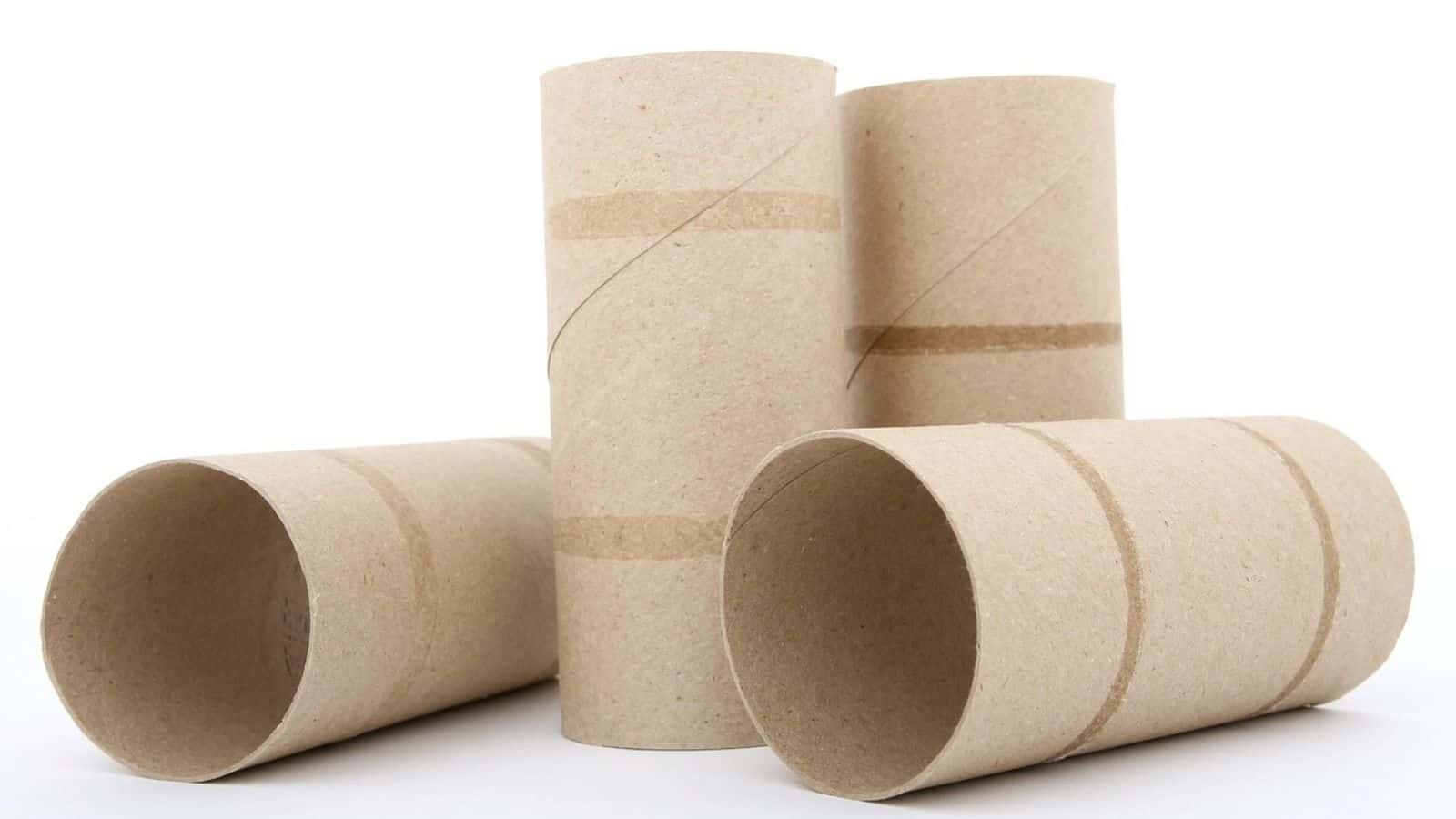 Four empty cardboard toilet paper rolls are standing and lying on a white surface with a white background.