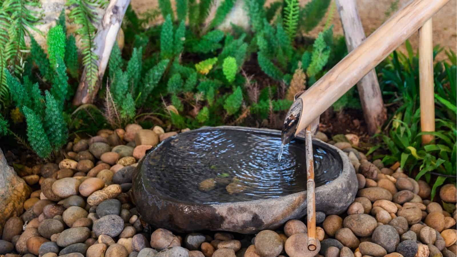 A bamboo water spout pours water into a stone basin surrounded by smooth pebbles and green plants.