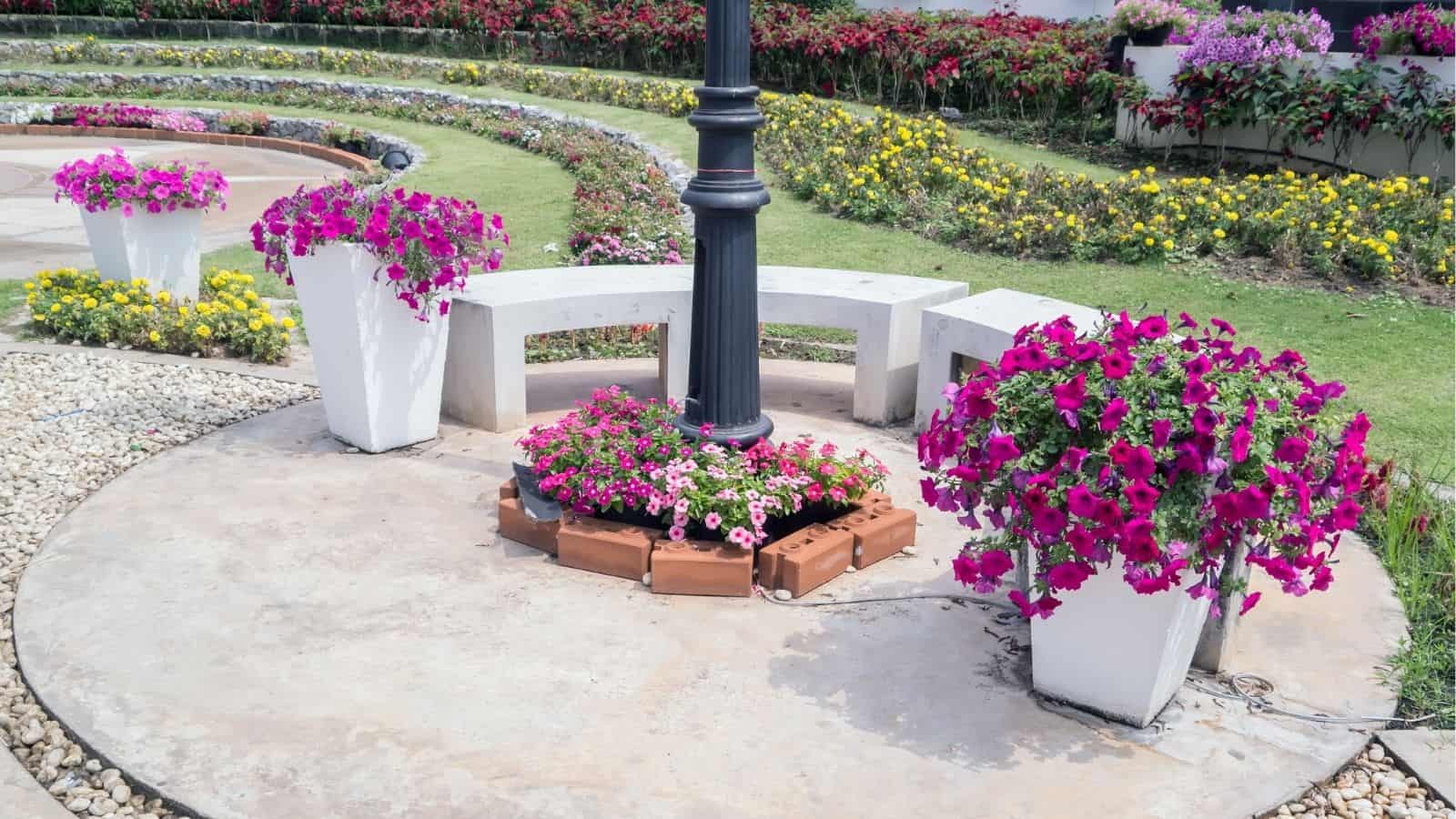 A curved white bench surrounds a lamppost, with pink and purple flowers in pots and garden beds arranged in a landscaped outdoor area.