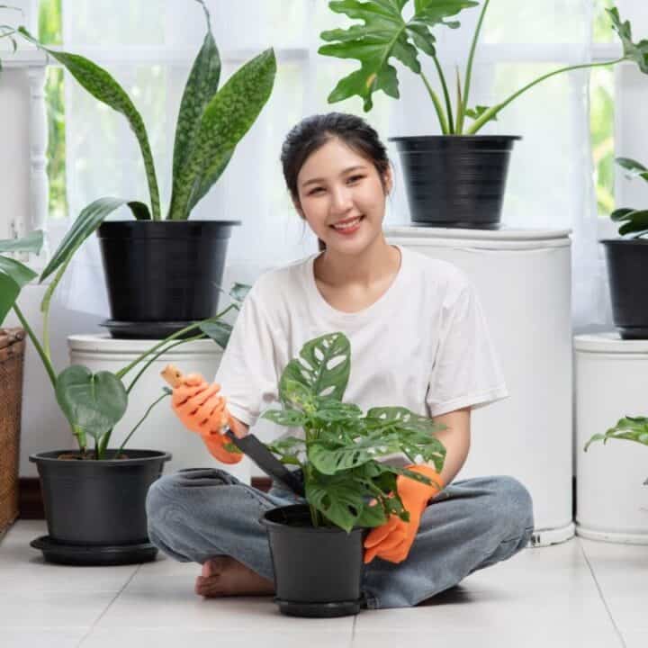 Woman wearing orange gloves sits on the floor indoors, tending to a potted plant, surrounded by various other houseplants.