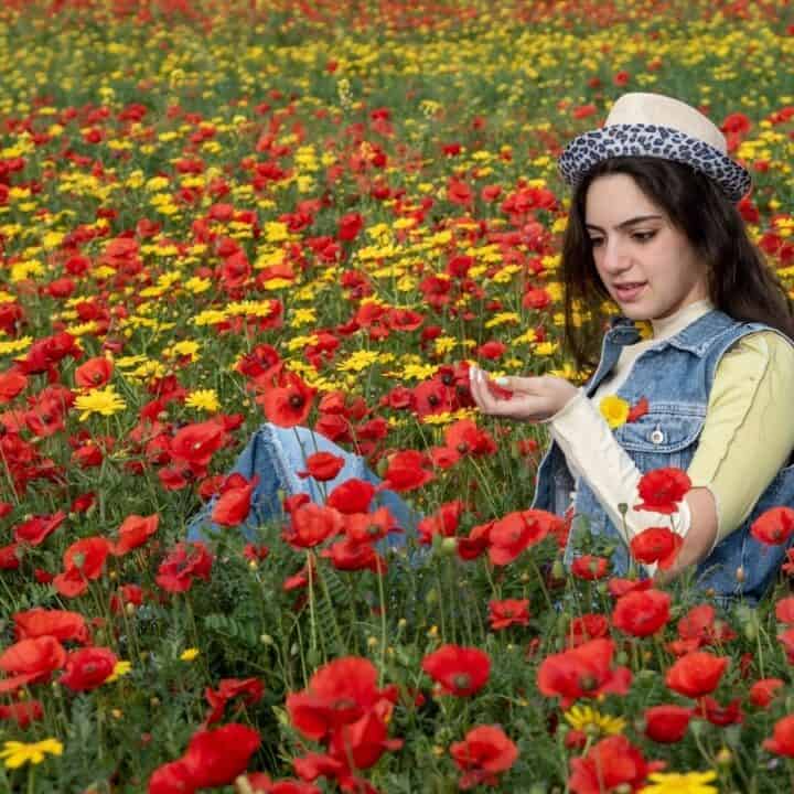 A woman wearing a hat and denim vest sits in a field of red and yellow wildflowers, looking at a flower in her hand.