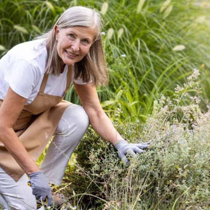 Older woman wearing an apron and gloves tending to plants in a garden, surrounded by green foliage and shrubs.