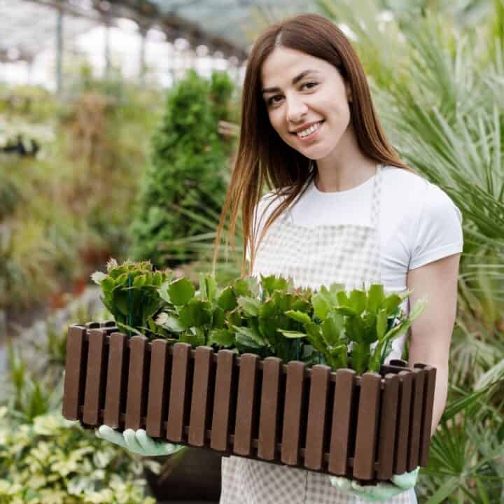 A woman in an apron holds a rectangular planter with green plants inside a greenhouse filled with various foliage.