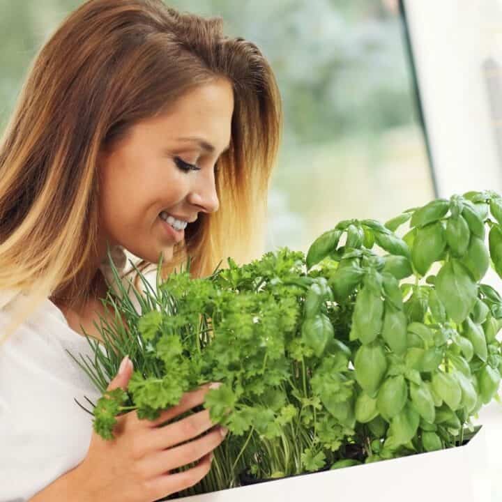 A woman smiling while holding a white box filled with fresh green herbs, including basil and parsley, in a bright indoor setting.