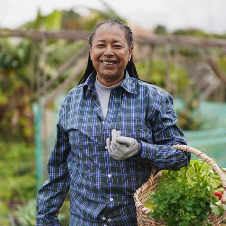 A person wearing a plaid shirt and gloves stands outdoors holding a basket of freshly picked vegetables, smiling at the camera in a garden setting.