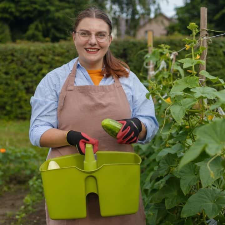 A woman wearing an apron and gloves stands in a garden holding a cucumber with a green basket, surrounded by plants and greenery.