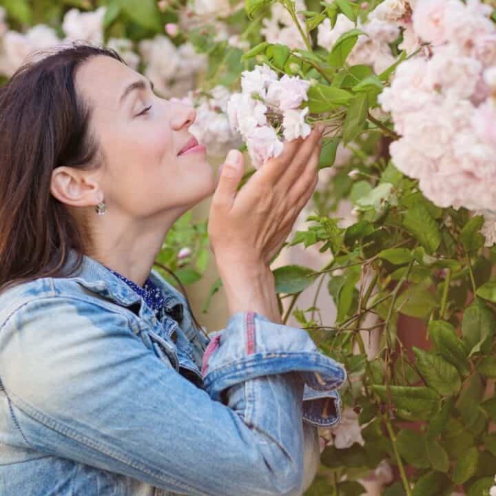 A woman with long brown hair and a denim jacket smells pink flowers blooming on a bush.