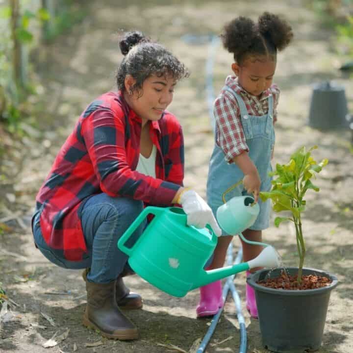 An adult and a child water a potted plant together on a dirt path in a garden, surrounded by other plants and gardening supplies.