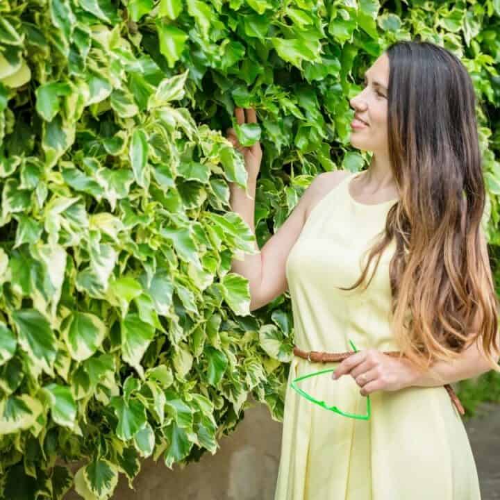 Woman in a yellow dress stands next to a large, leafy green hedge, holding a pair of green sunglasses and touching the foliage.