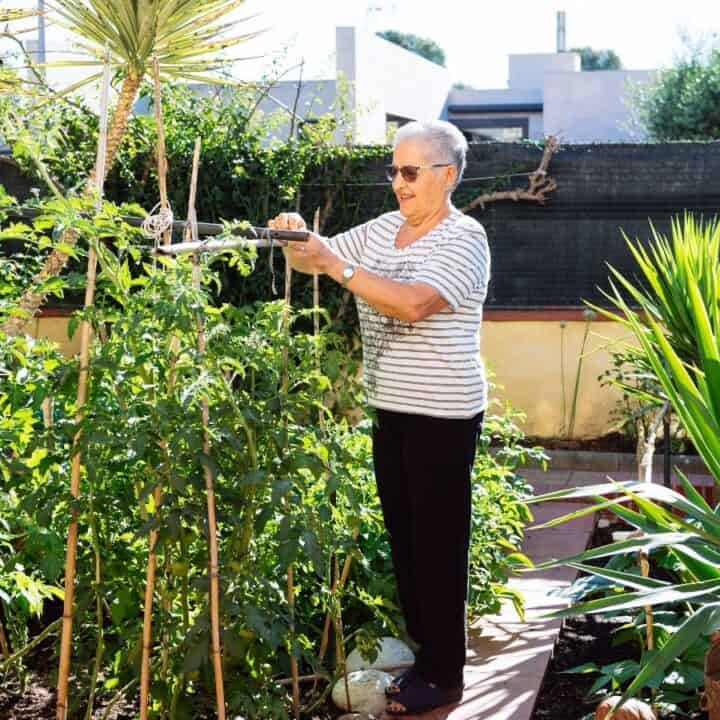 An older woman wearing sunglasses waters plants in a sunny garden, standing among green shrubs and trees next to a stone path.