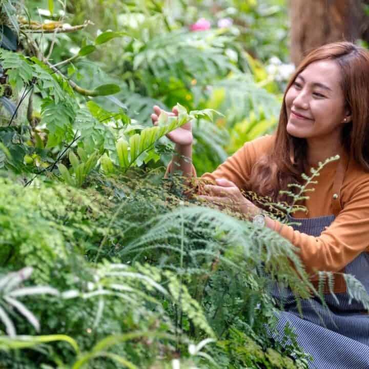 A woman in an apron kneels in a garden, smiling as she tends to green plants and ferns.