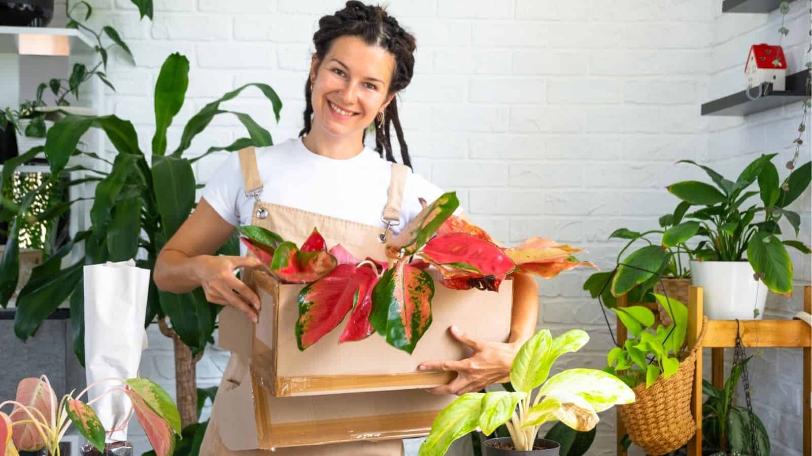 13 Plants That Bring Color to Your Garden All Year Round • Schisandra ...