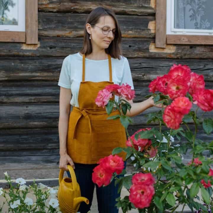 A woman wearing glasses and an orange apron holds a yellow watering can and stands in front of a wooden house, looking at blooming pink roses.