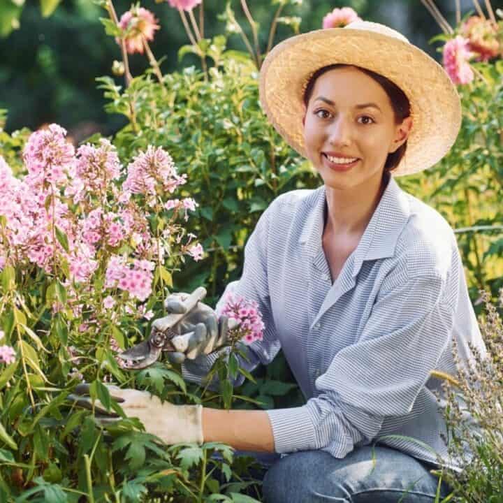 A woman in a straw hat and gloves is kneeling in a garden, trimming pink flowers with pruning shears.