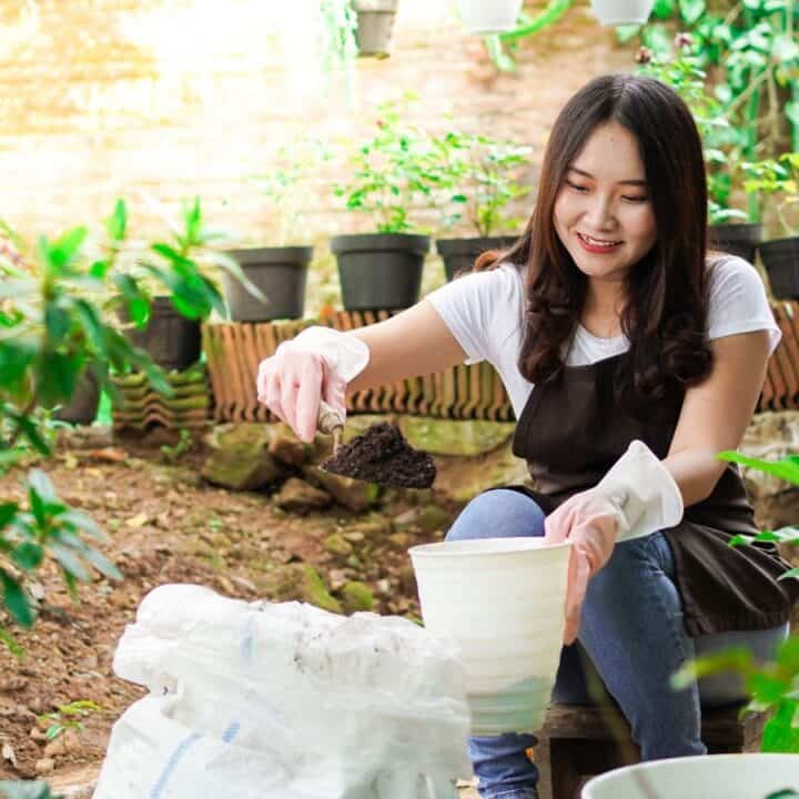 A woman wearing gloves and an apron sits in a garden, scooping soil from a bag into a white pot surrounded by green plants and potted plants.