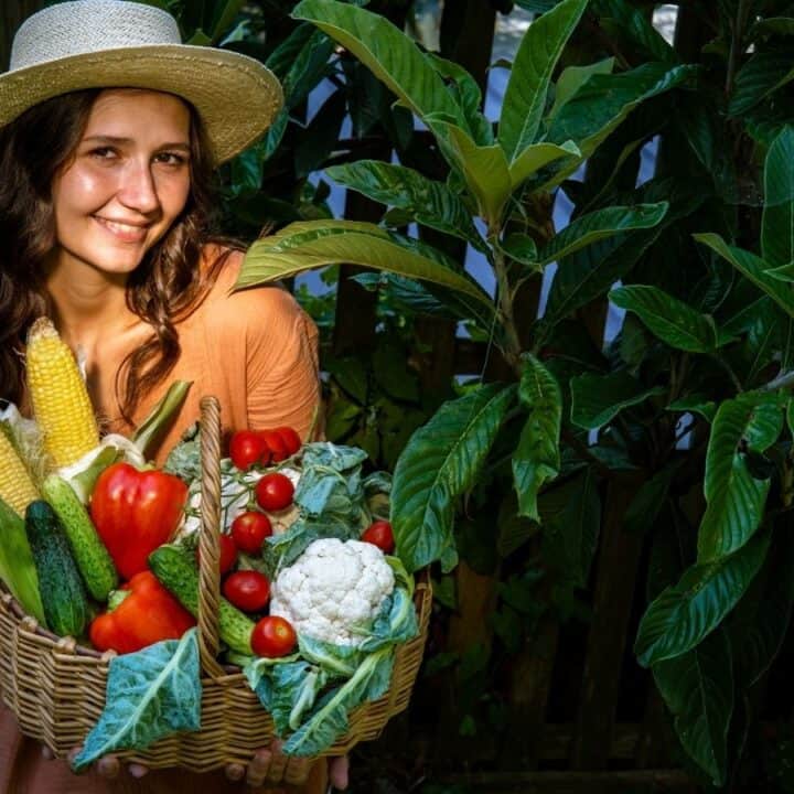 A woman wearing a straw hat holds a large basket of fresh vegetables, including corn, cucumbers, tomatoes, cauliflower, and peppers, while standing in a garden.