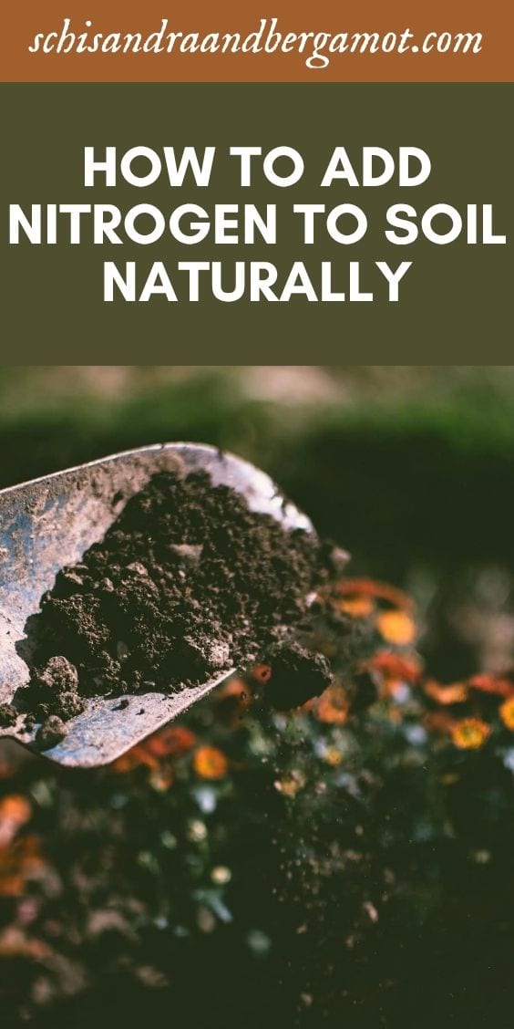 How to Add Nitrogen to Soil Naturally for a Thriving Garden