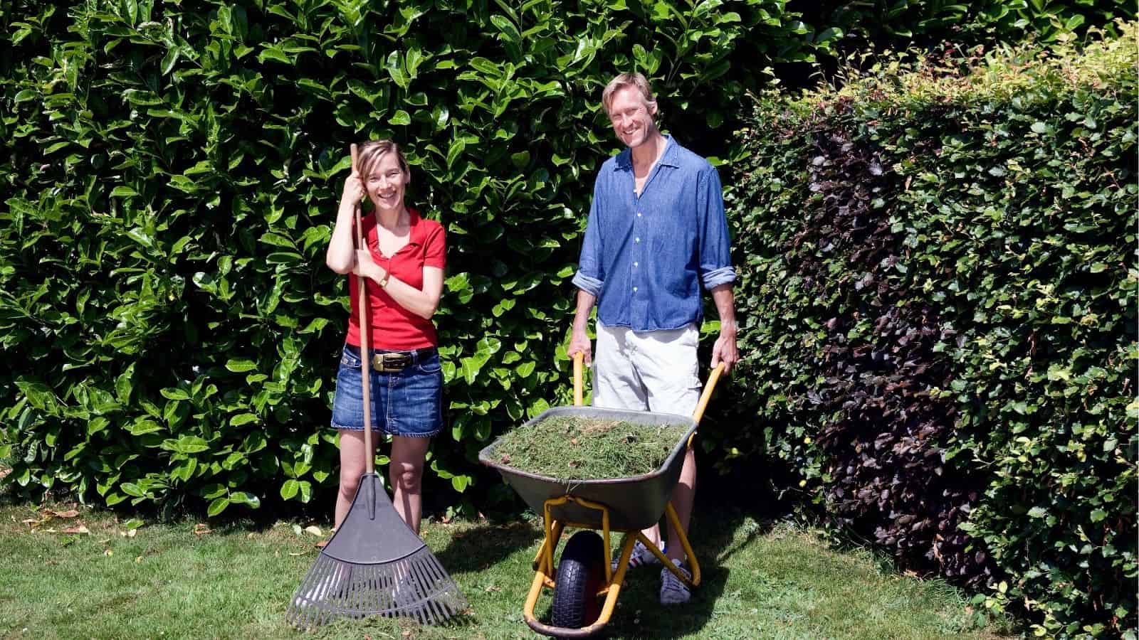 Two people standing in a garden; one holds a rake, the other stands beside a wheelbarrow filled with grass clippings. Dense green hedges form the background.