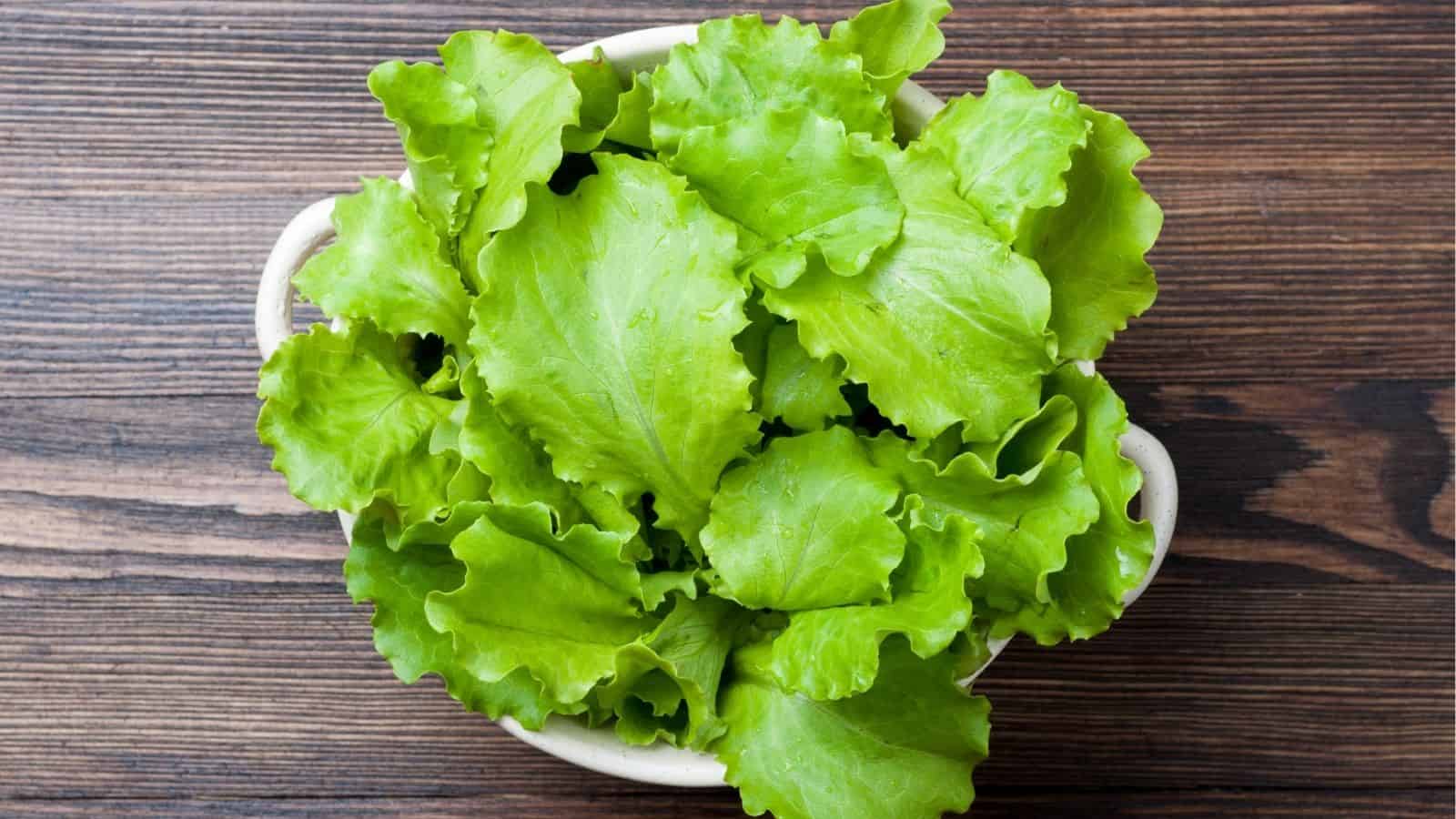 A white bowl filled with fresh green lettuce leaves sits on a dark wooden surface.