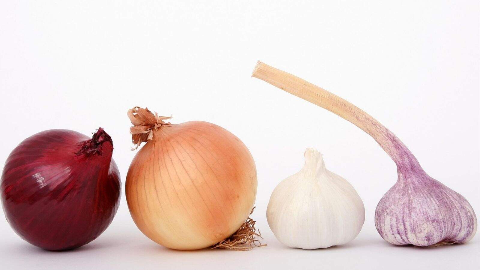 A red onion, yellow onion, white garlic bulb, and purple garlic bulb are arranged in a row on a white background.