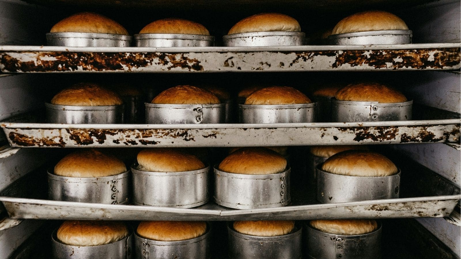Rows of round loaves of bread rise in metal baking pans on several shelves inside an industrial oven.