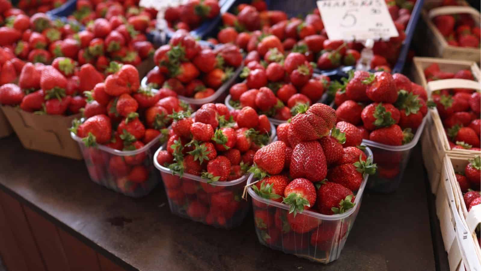 Plastic containers filled with fresh strawberries are displayed for sale at a market stand, with a price sign visible in the background.