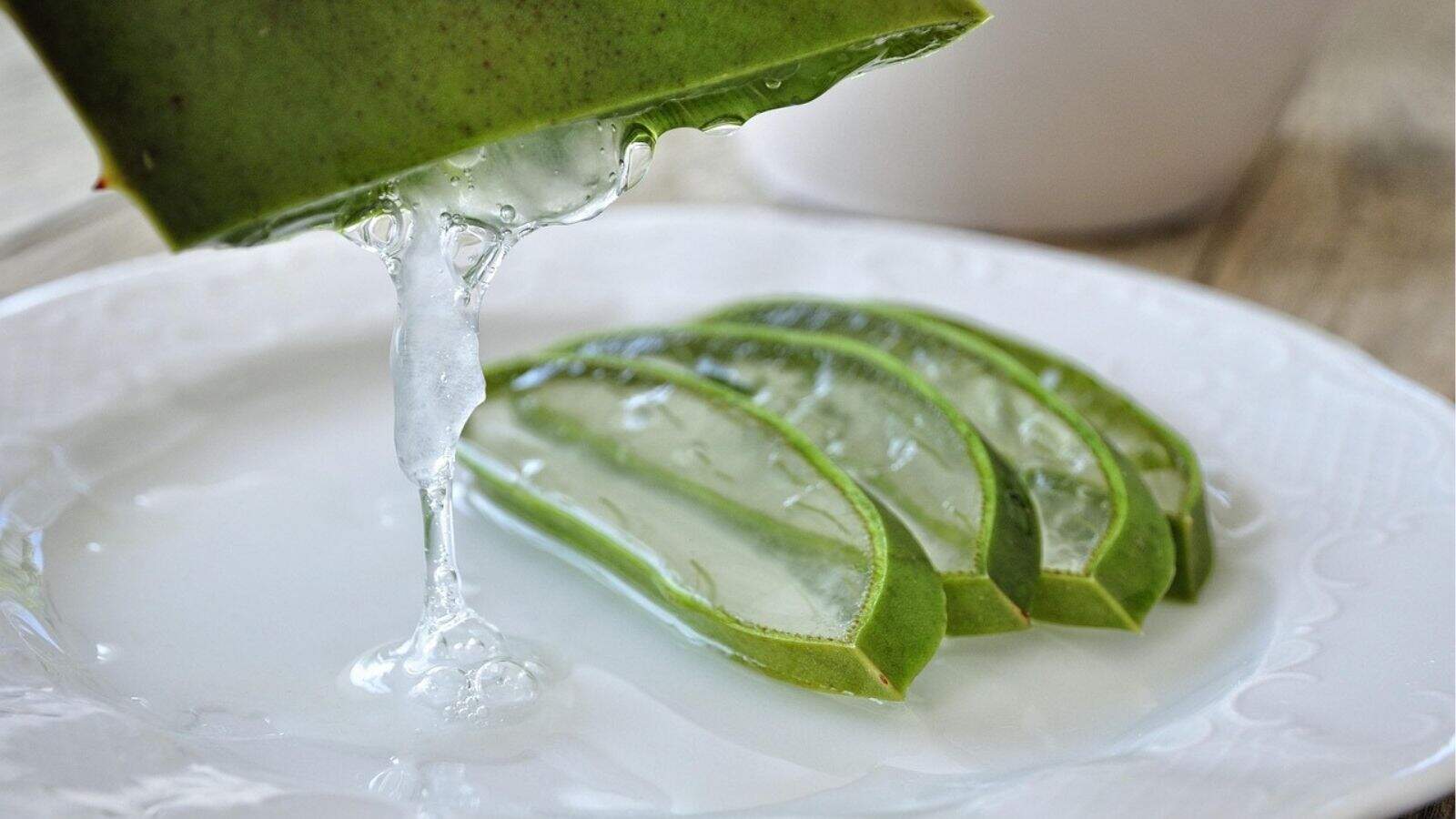 A close-up of aloe vera gel being extracted from a leaf, with several sliced pieces of aloe vera on a white plate.