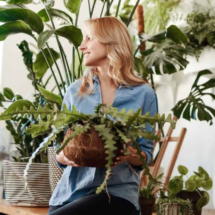 A woman sits indoors holding a potted plant, surrounded by various green houseplants and natural light from a nearby window.
