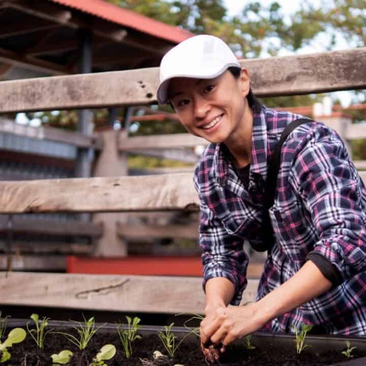 Person wearing a white cap and plaid shirt planting seedlings in a raised garden bed, smiling at the camera, with a wooden fence in the background.