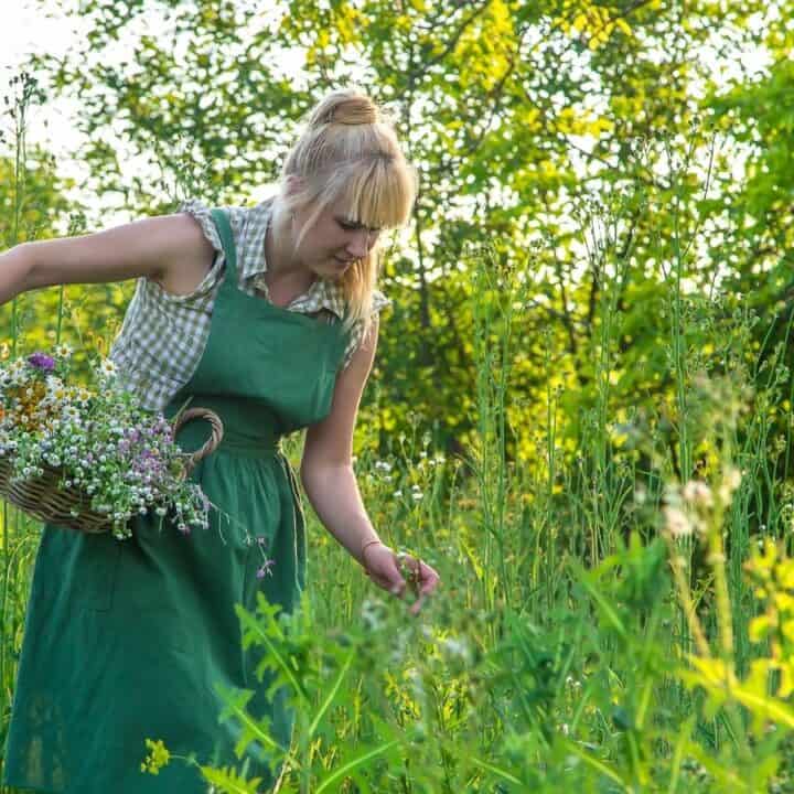 A woman in a green dress gathers wildflowers in a sunlit grassy field, holding a basket filled with assorted flowers.