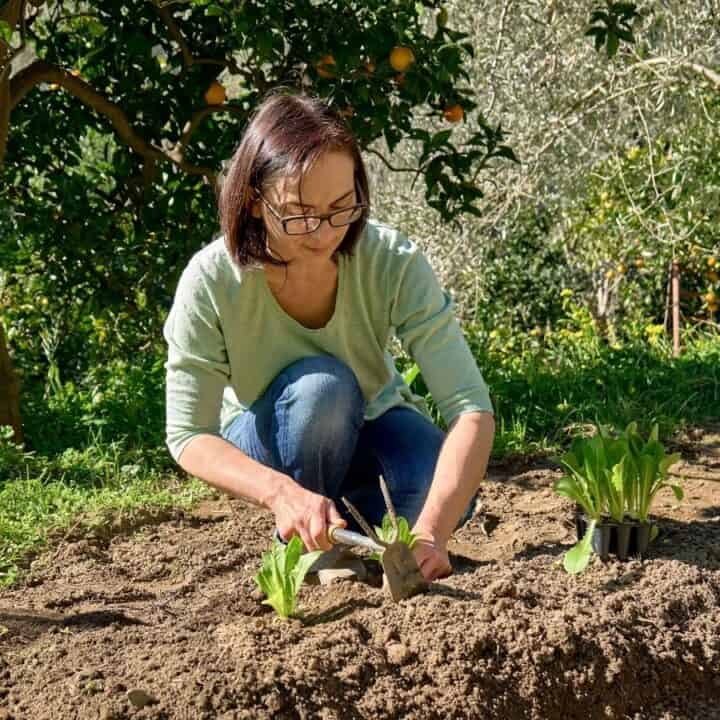 A woman wearing glasses and a light green sweater is planting seedlings in a garden surrounded by trees and greenery.