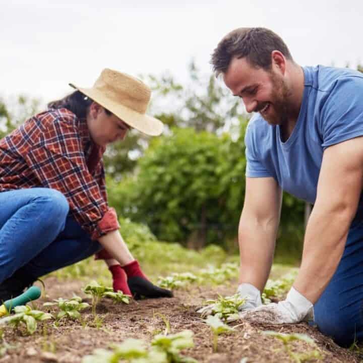 Two people are gardening together outdoors, kneeling on the soil and planting seedlings. Trees and greenery are visible in the background.