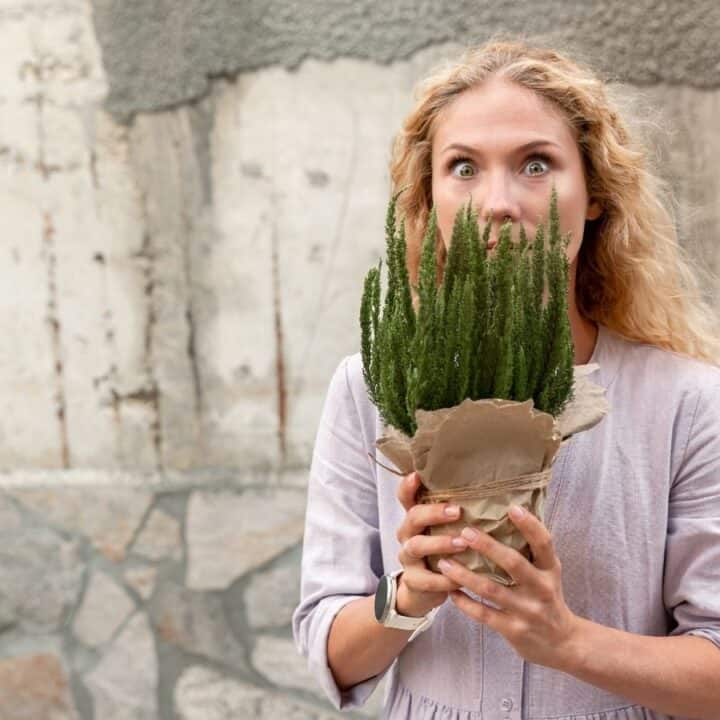 A woman with long curly hair holds a potted plant wrapped in brown paper, standing in front of a textured concrete wall and looking directly at the camera.