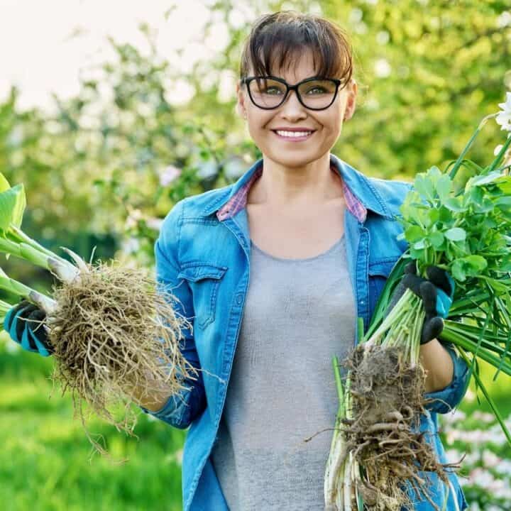 Woman wearing glasses and gloves stands outdoors holding freshly pulled plants with roots exposed in a garden.