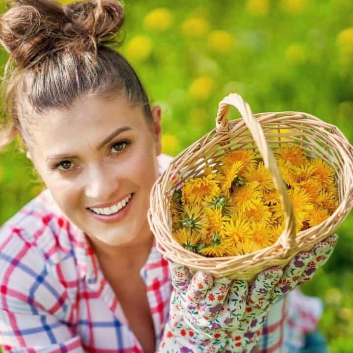A woman in a plaid shirt kneels in a field, holding up a wicker basket filled with yellow dandelion flowers, smiling at the camera.