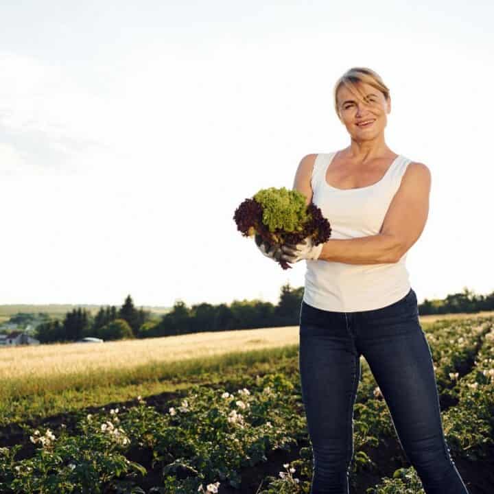 A woman stands in a field holding freshly harvested lettuce, with rows of crops and a rural landscape in the background.