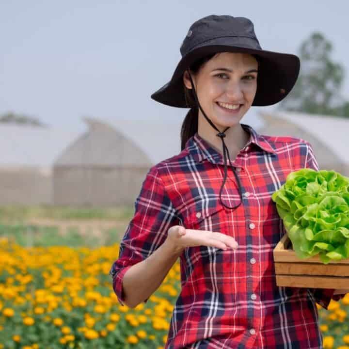 A woman in a plaid shirt and sun hat holds a crate of fresh lettuce, standing in front of flower fields and greenhouses.