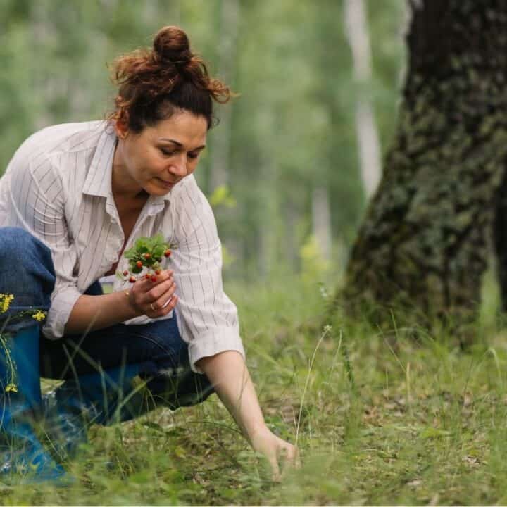 A woman crouches in a forest, holding a bunch of wildflowers and berries in one hand while picking something from the grass with the other.