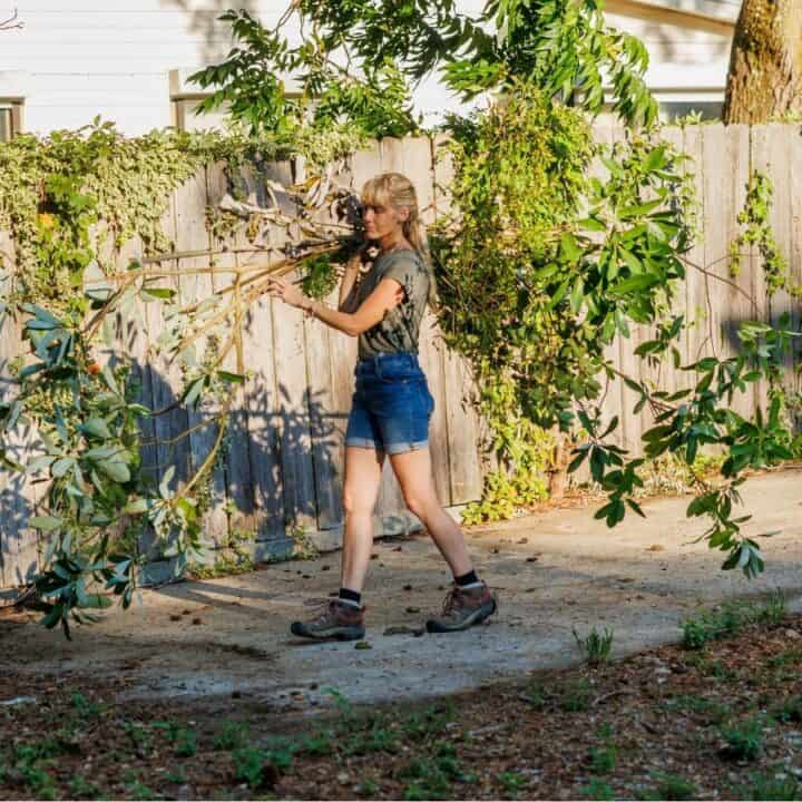 A person wearing shorts and boots carries a large tree branch along a concrete path beside a wooden fence covered in green vines.