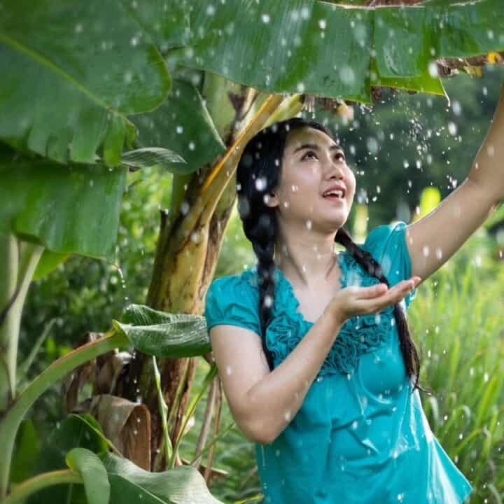 A woman in a blue shirt stands under large green leaves, smiling and catching falling water with her hand.