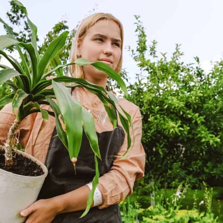 A person wearing an apron holds a potted plant outdoors in a garden with green trees and plants in the background.