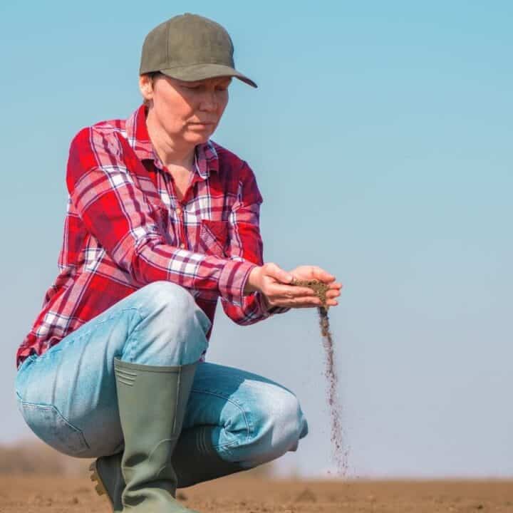 A person in a plaid shirt and cap kneels on a field, examining and letting soil fall through their hands on a clear day.