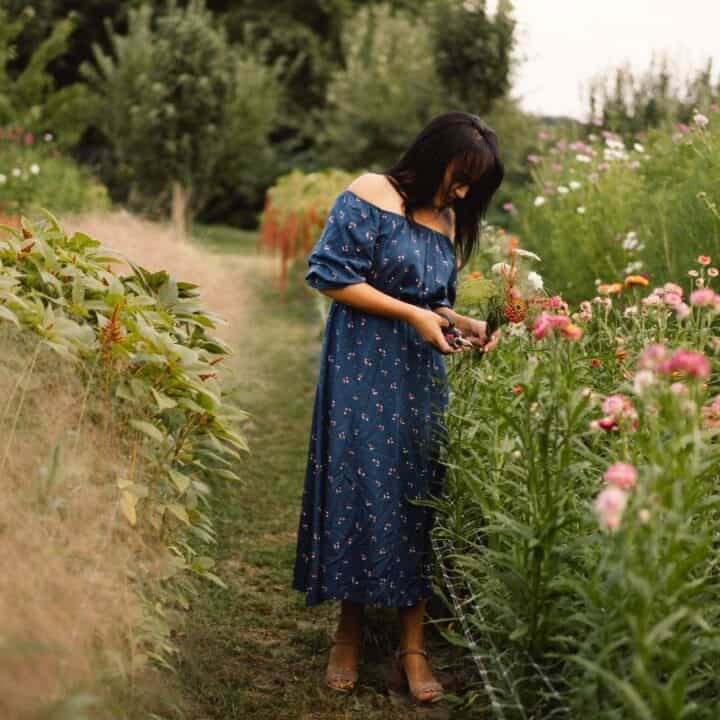 A woman in a blue dress stands on a grassy path in a garden, looking down and holding a camera among blooming pink flowers and green plants.